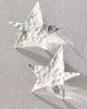 Laura Mar Laura Mar Star Stud Earrings - 1