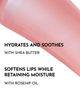 LAWLESS LAWLESS Mini Forget The Filler Lip Plumping Line Smoothing Gloss Set Sugar & Spice One - 6