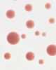 Le Mini Macaron Le Mini Macaron 5-in-1 Builder Gel - Dusty Rose-pink - 4