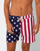 LEISURE LAB LEISURE LAB Stars + Stripes Swim Trunk - 1