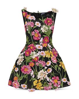 Sho Dress