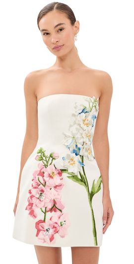 Leo Lin Leo Lin Roselle Embroidered Bustier Mini Dress Snapdragon Print in Snow