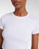 Leset Leset Kelly cropped cotton jersey T-shirt - 4