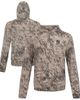 LEVELWEAR Men's Levelwear Tan New York Yankees - 4