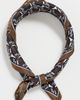 LIBERTY LIBERTY Iphis Silk Scarf Tan One - 2