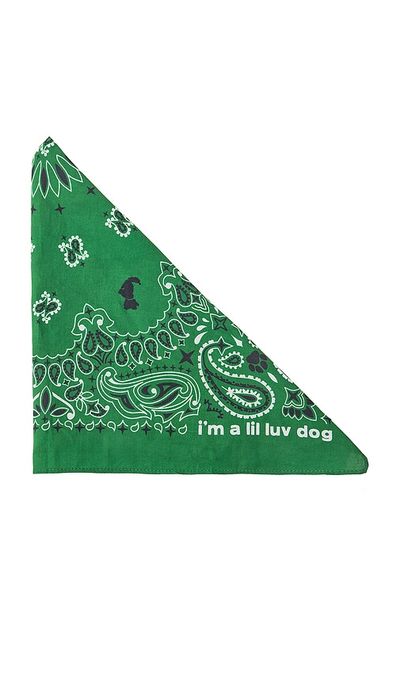 Lil Luv Dog Lil Luv Dog Bandana