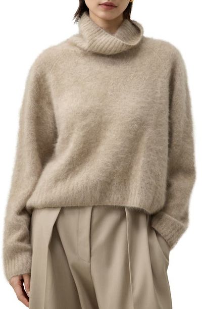 Lilysilk Lilysilk Women's Brushed Cashmere Turtleneck Sweater
