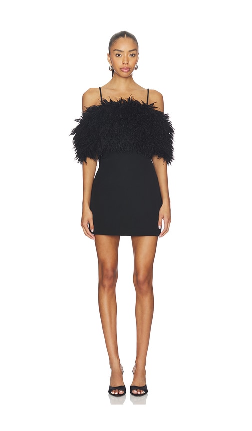 Line & Dot Dresses Line & Dot Dresses