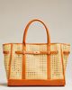 Lisi Lerch Palmer Cane Tote Bag - 1