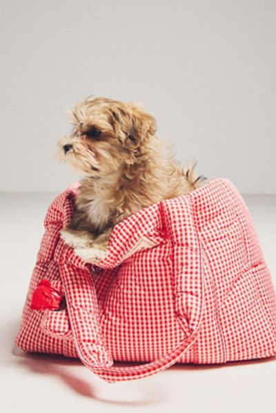 Little Beast Dog Carrier