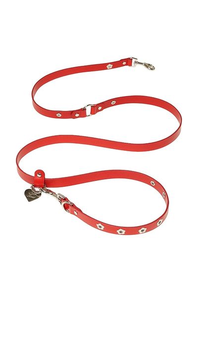 Little Beast Little Beast Ruby Flower Power Leash