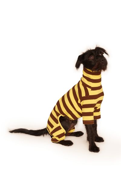Little Beast Little Beast StretchCotton Dog Onesie Stripe