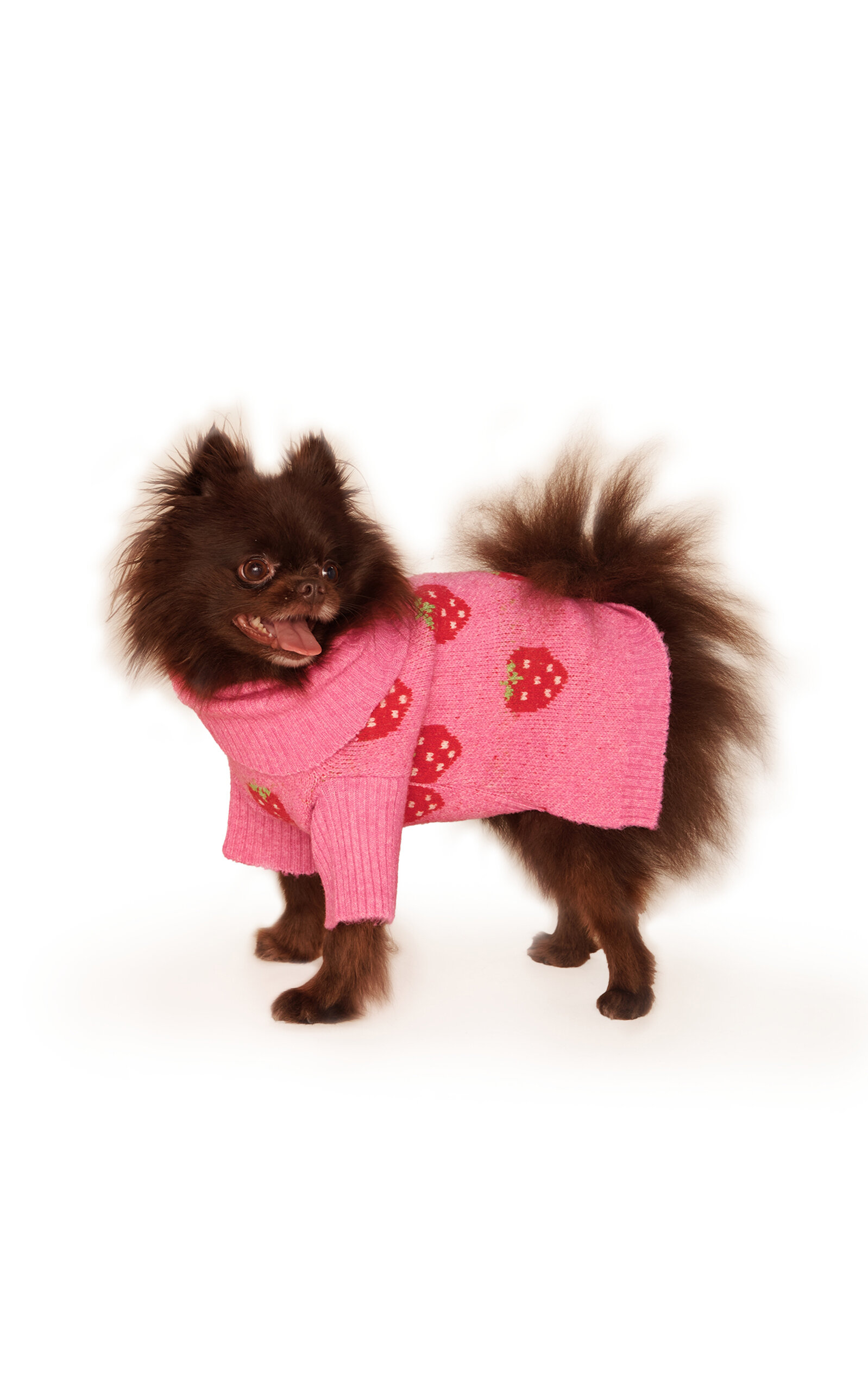 Little Beast Little Beast The Strawberry Dog Sweater Print