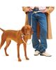 Little Beast Little Beast You Mean The World To Me Leash - 2