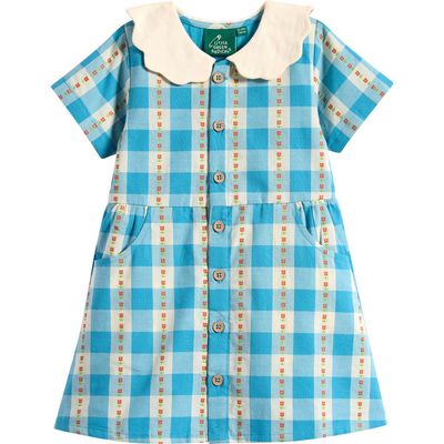 Little Green Radicals Little Green Radicals Kids' Floral Embroidered Gingham Dress