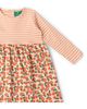 Little Green Radicals Little Green Radicals Kids' Petals Easy Peasy Long Sleeve Dress & Bloomers - 5