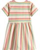 Little Green Radicals Little Green Radicals Kids' Stripe Button Front Dress - 2