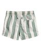 Little Planet Little Planet Stripe Swim Trunks - 2