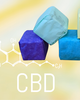 Lizush Lizush CBD Shower Steamers Gift Set - 5