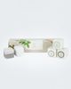 Lizush Lizush Earthy Refreshing Shower Steamer Gift Set, Set of 5 - 1