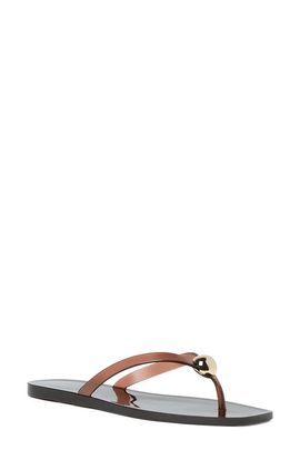 Loeffler Randall Loeffler Randall Jovie Jelly Flip Flop