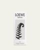 LOEWE LOEWE Esencia Elixir Eau de Parfum, 1.7 oz. - 3