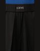 Loewe Logo Waist Asymmetric Pleated Pants - 5