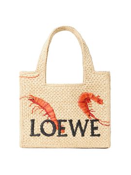 LOEWE Women's Font Mini Embroidered Raffia Tote Bag
