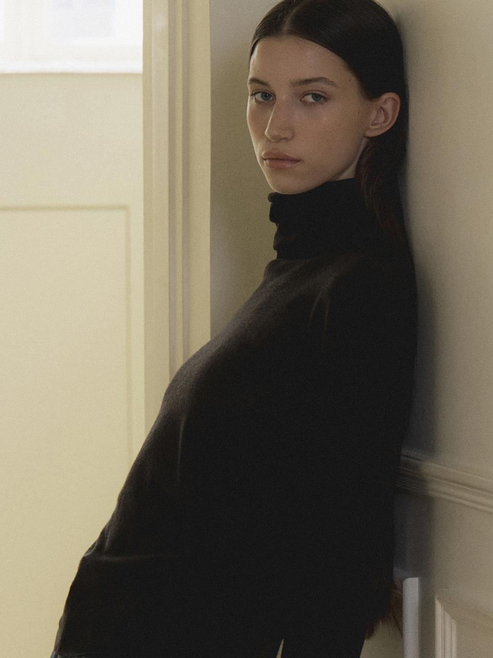L’oiE Soft Wool See-through Turtleneck Regular Fit Knit [Black] (L144)