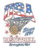 Lost Gods Boys Lost Gods Since 1891 USA Basketball T Shirt - 2