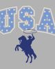 Lost Gods Boys Lost Gods USA Star Rodeo T Shirt - 2