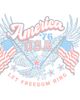 Lost Gods Juniors Lost Gods America 76 Let Freedom Ring T Shirt - 2