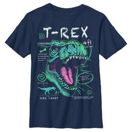 Lost Gods Lost Gods Boys' Husky Plus T-Rex Schematic Detail Short Sleeve Graphic T-Shirt