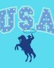 Lost Gods Lost Gods Girls' Usa Star Rodeo Short Sleeve Boxy Cropped T-shirt - 2