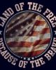 Lost Gods Men's Lost Gods Land of Free Because of Brave Graphic T-Shirt - 2