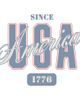 Lost Gods Mens Lost Gods Since 1776 America USA T Shirt - 2