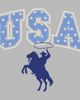 Lost Gods Mens Lost Gods USA Star Rodeo T Shirt - 2