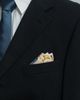 Lost Pattern Lost Pattern Neon Tigers Silk Pocket Square - 2