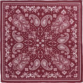 Lost Pattern Lost Pattern "Paisley" Silk Bandana Scarf