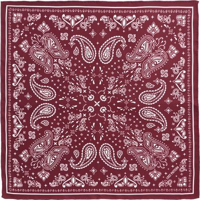 Lost Pattern Lost Pattern "Paisley" Silk Bandana Scarf