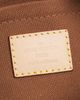 louis vuitton Louis Vuitton Monogram Multi Pochette Accessories Shoulder Bag - 5