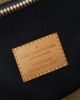 louis vuitton Louis Vuitton X Supreme Apollo Backpack - 5