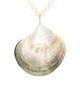Lovers and Friends Lovers and Friends Cameron Shell Necklace - 2