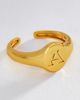 Luv Aj Initial Oval Signet Ring - 1