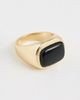 Luv Aj Luv Aj The Midnight Mesa Signet Ring Gold - 2