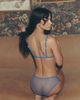 LyreBird Butterfly Mesh Bikini Briefs - 3