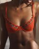 LyreBird Embroidered Mesh Underwire Bra - 4