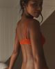 LyreBird Embroidered Mesh Underwire Bra - 5