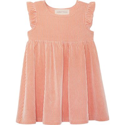 Mabel + Honey Mabel + Honey Sunkissed Apricot Short Flutter Sleeve Dress