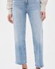 Madewell Madewell The Perfect Vintage Wide-Leg Jean RAEBROOK WASH - 2